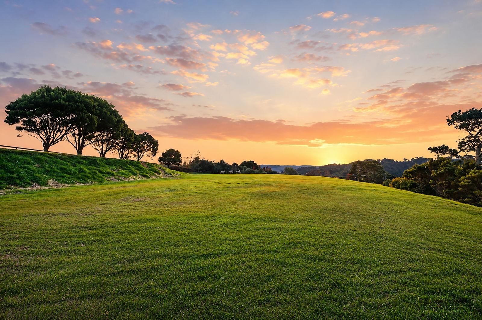 Slider image of 14 McGiven Place, Auckland
