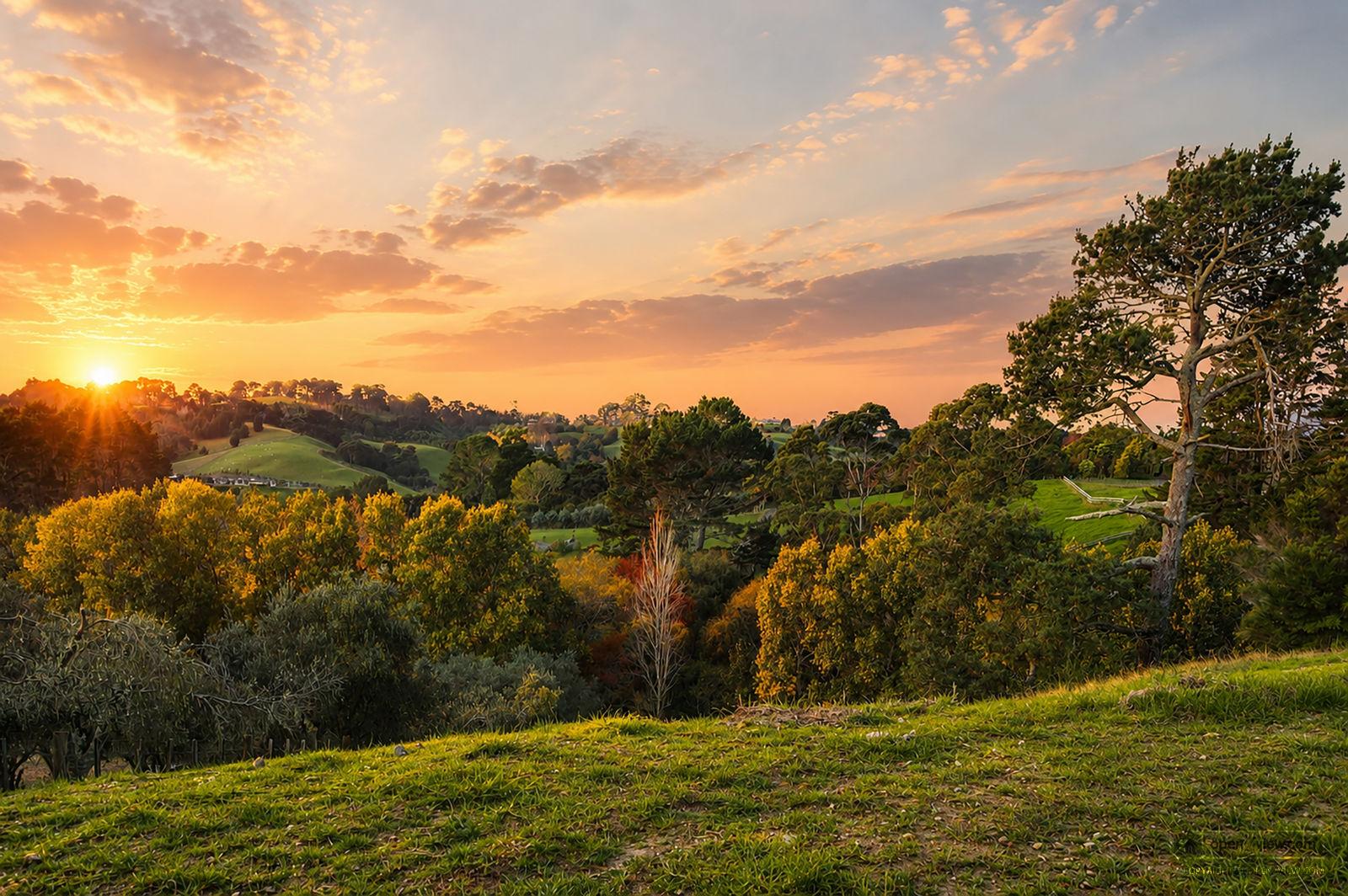 Slider image of 14 McGiven Place, Auckland