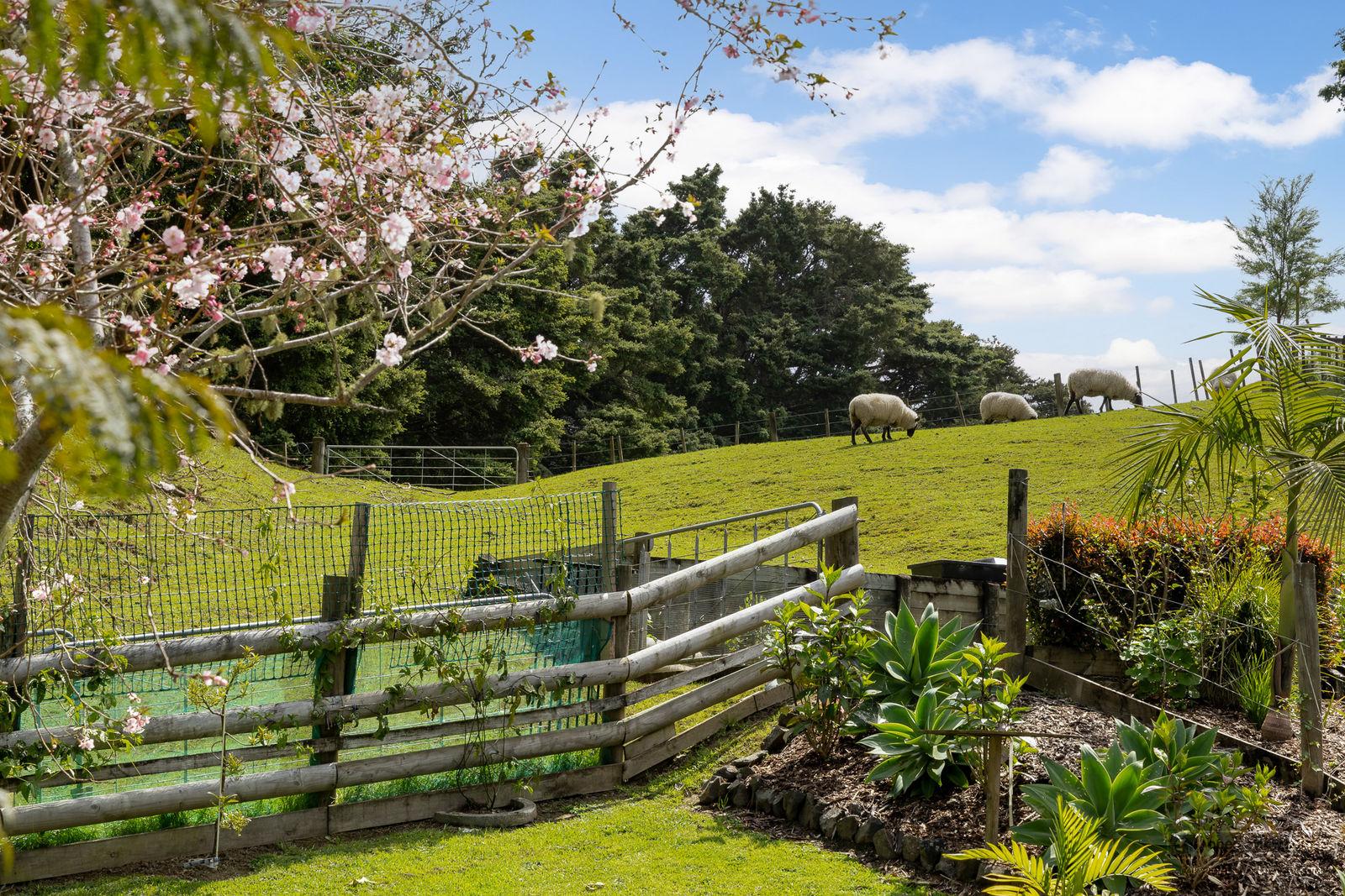 Slider image of 81 Taylor Road, Auckland