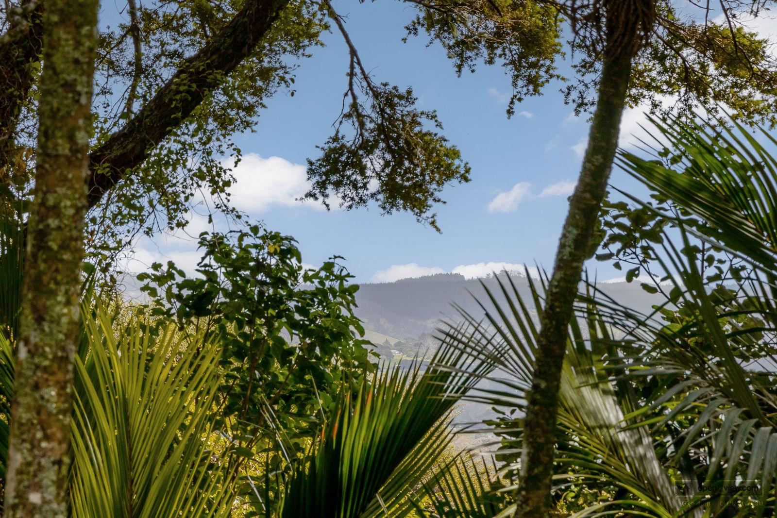 Slider image of 81 Taylor Road, Auckland