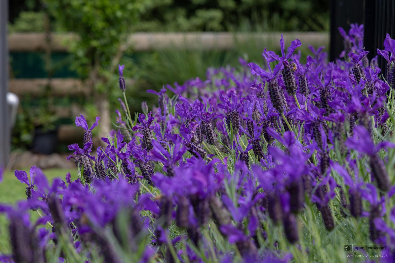 Slider image of 81 Taylor Road, Auckland