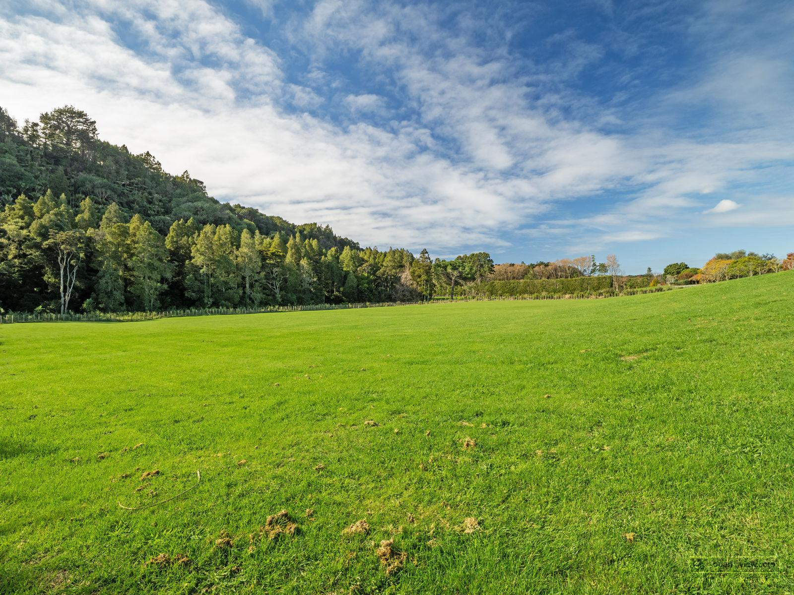 Slider image of 30 Sunnyside Road, Auckland