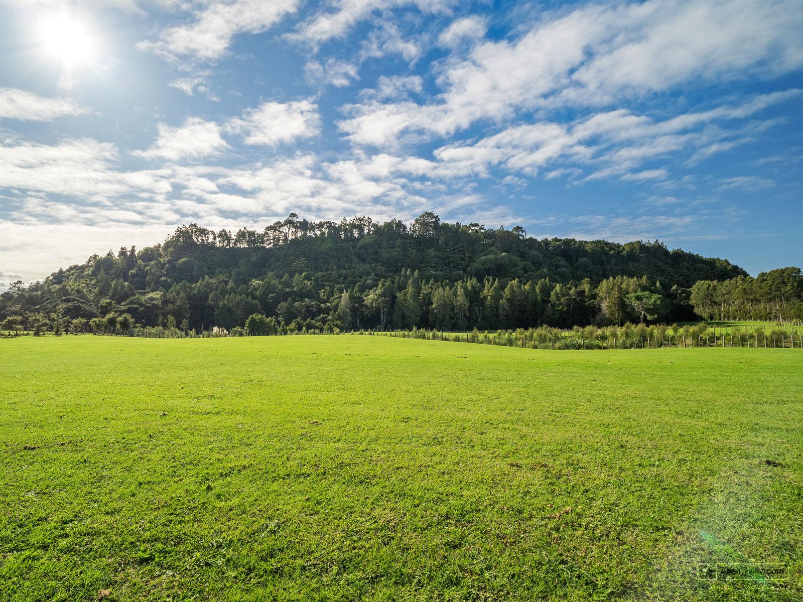 Slider image of 30 Sunnyside Road, Auckland