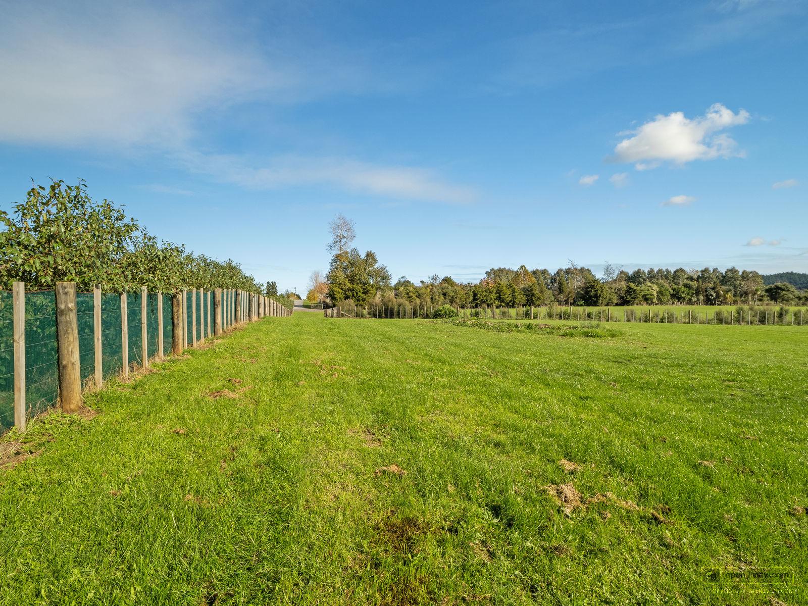 Slider image of 30 Sunnyside Road, Auckland