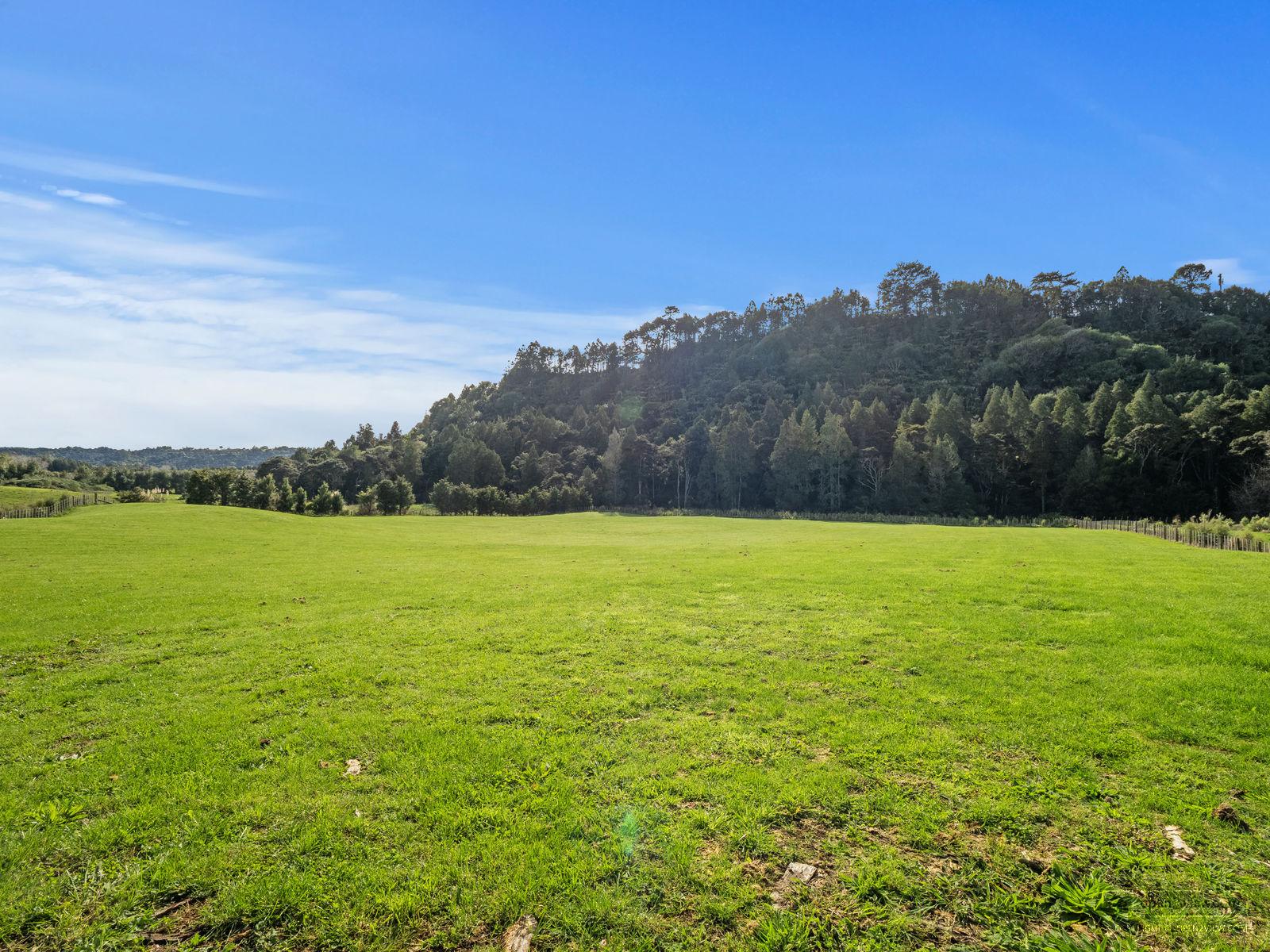 Slider image of 30 Sunnyside Road, Auckland