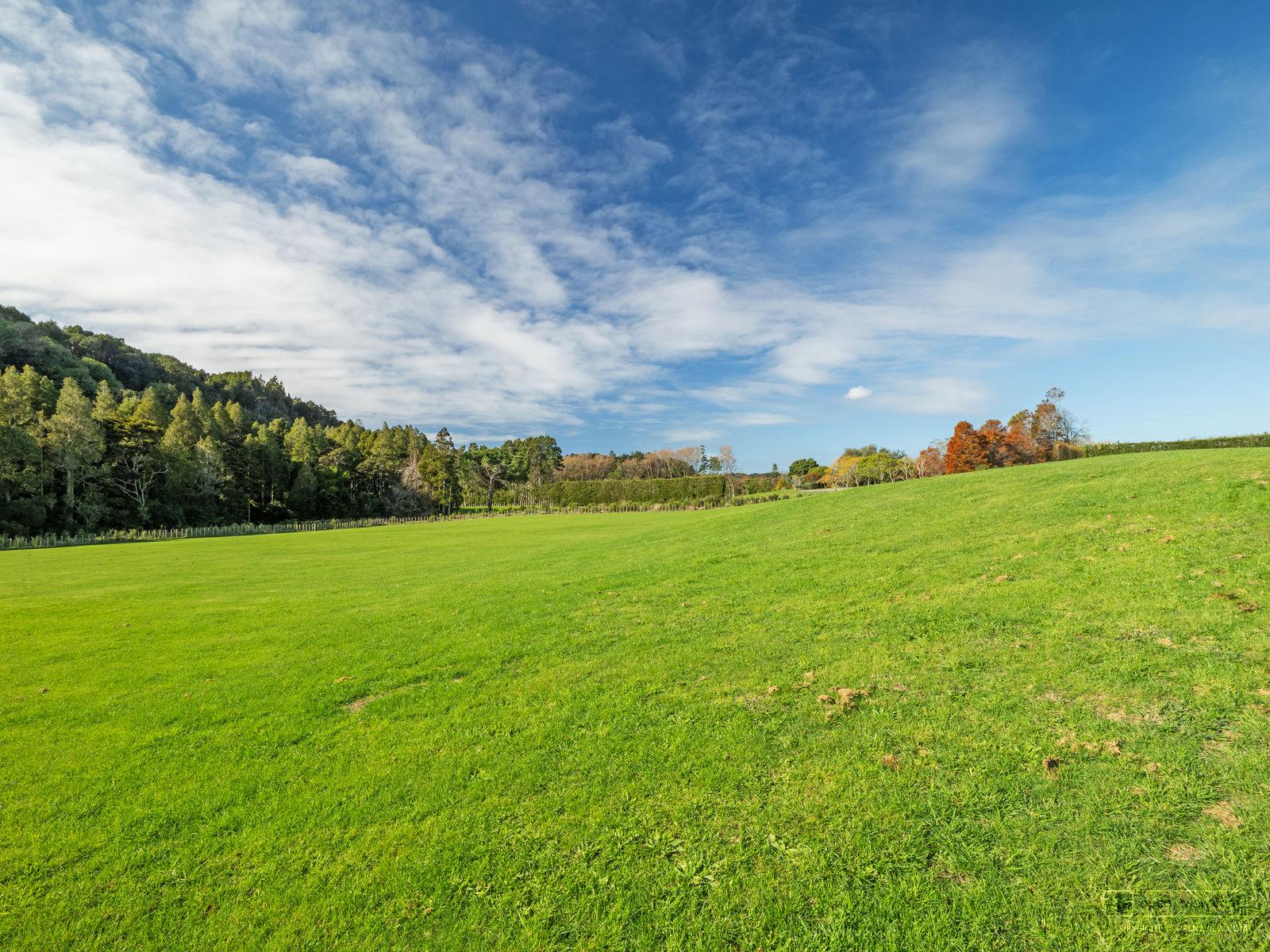 Slider image of 30 Sunnyside Road, Auckland