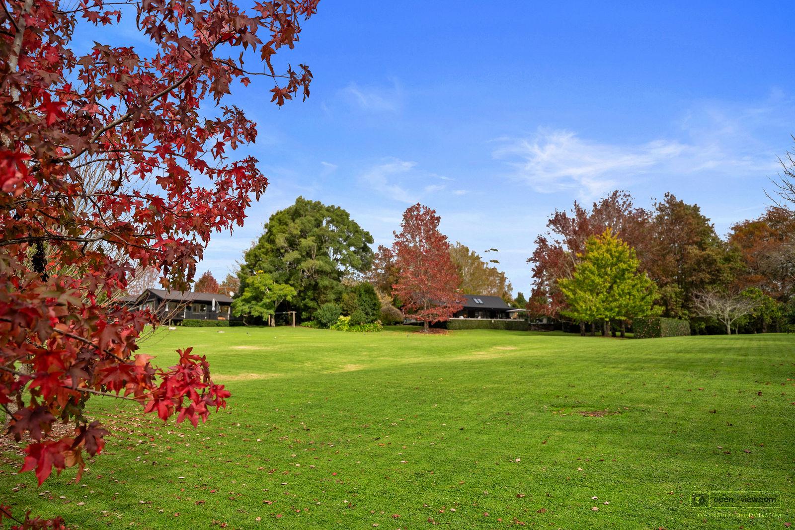 Slider image of 36 Robinson Road, Auckland