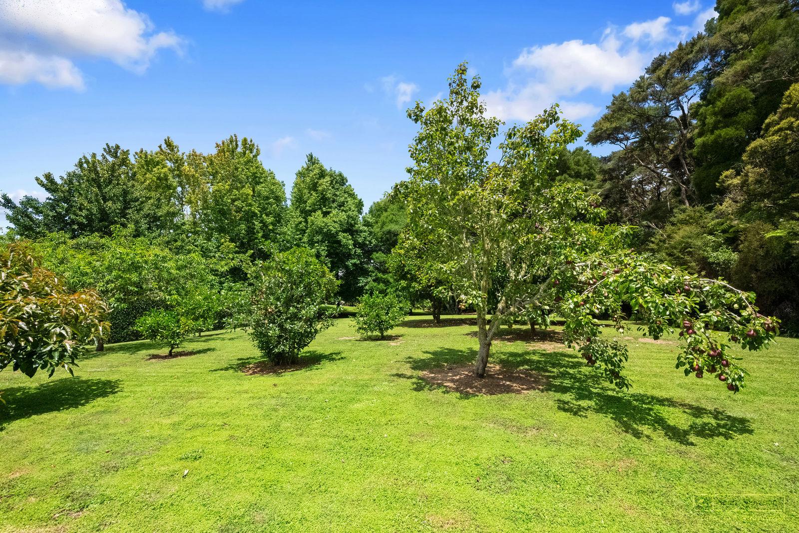 Slider image of 36 Robinson Road, Auckland