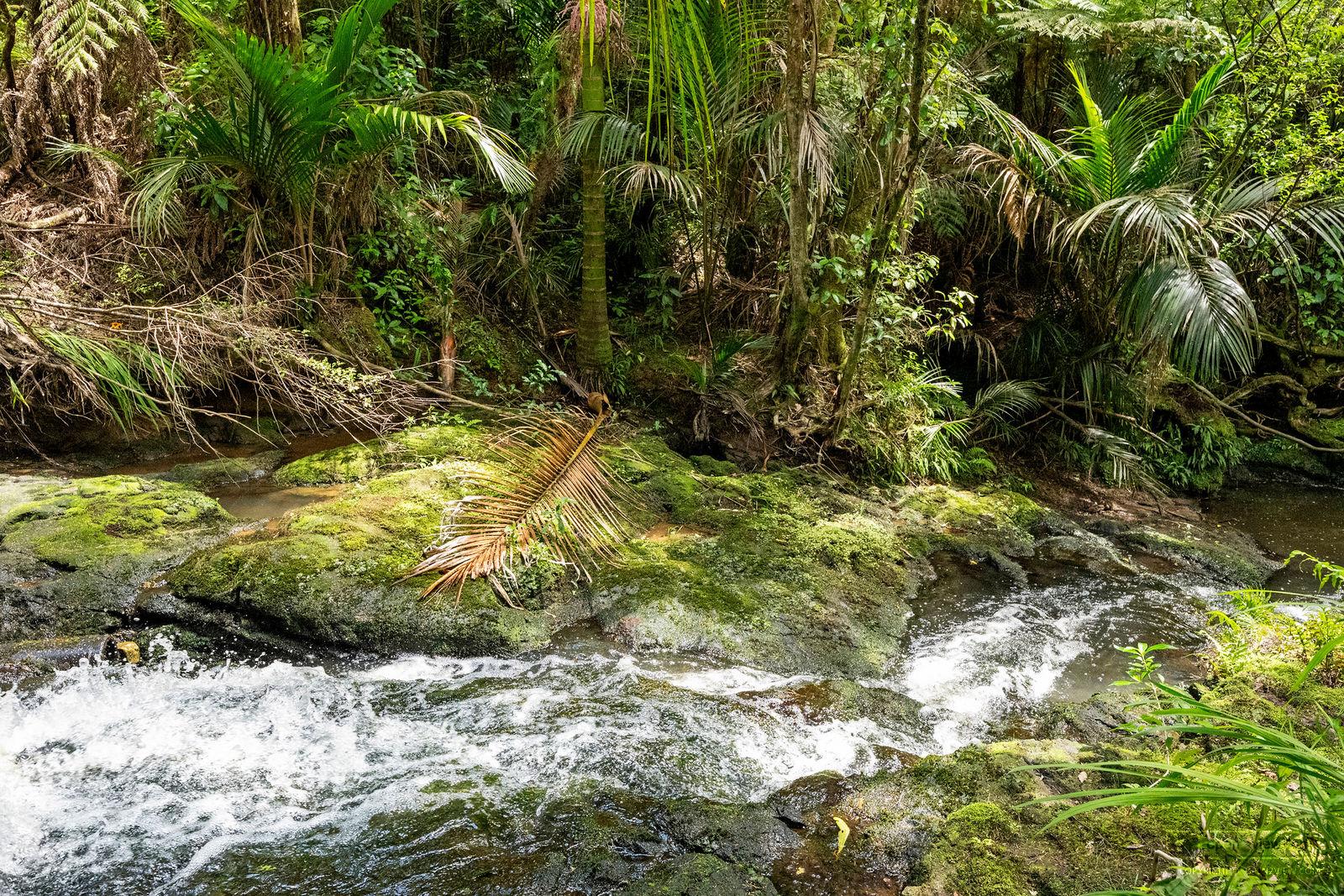 Slider image of 36 Robinson Road, Auckland