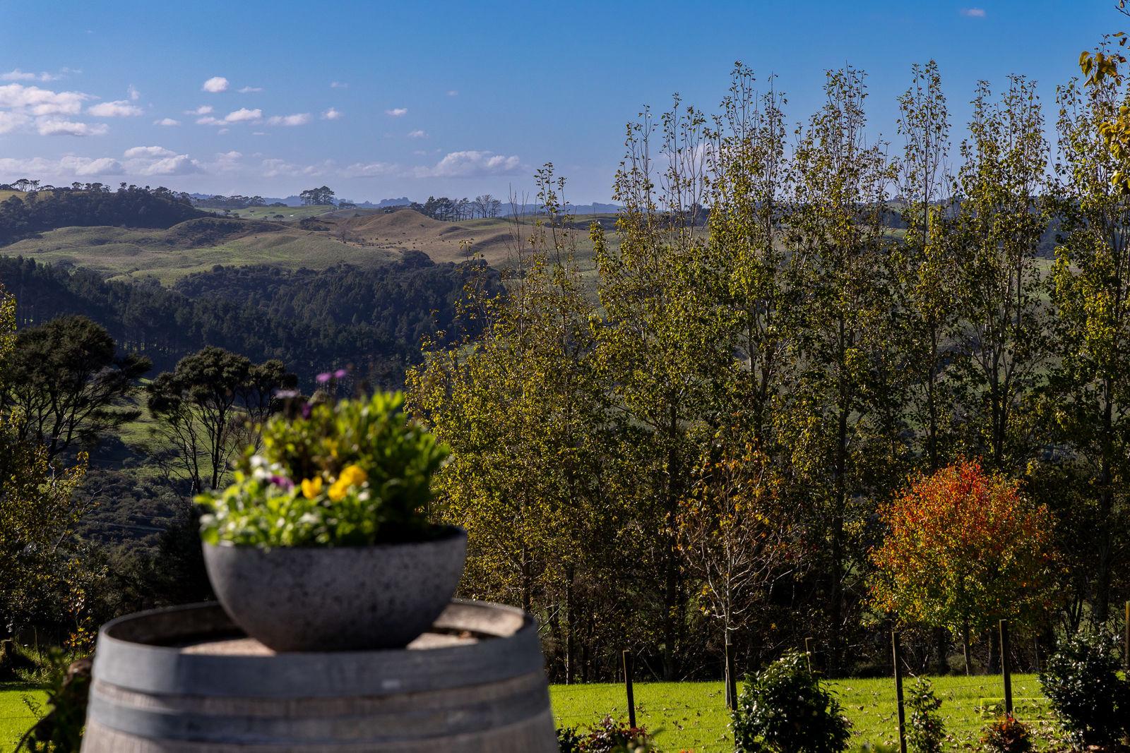 Slider image of 1410 Old North Road, Auckland