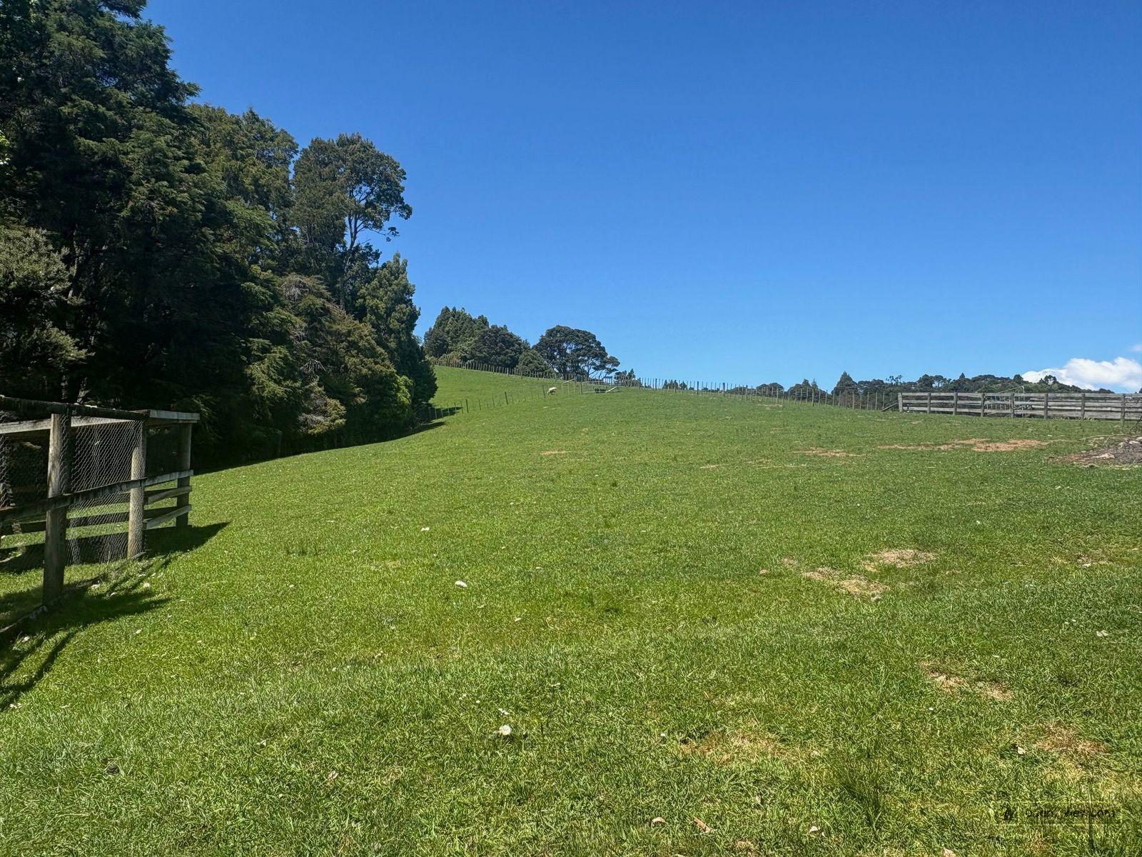 Slider image of 87 Hartway Grove, Auckland