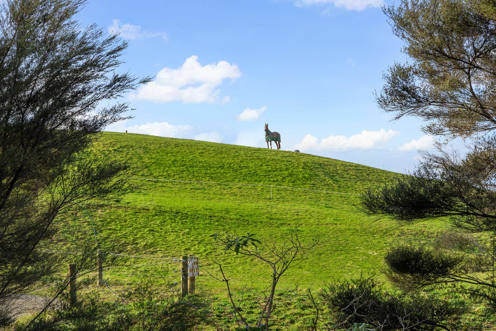 Slider image of 154 Muriwai Valley Road, Auckland