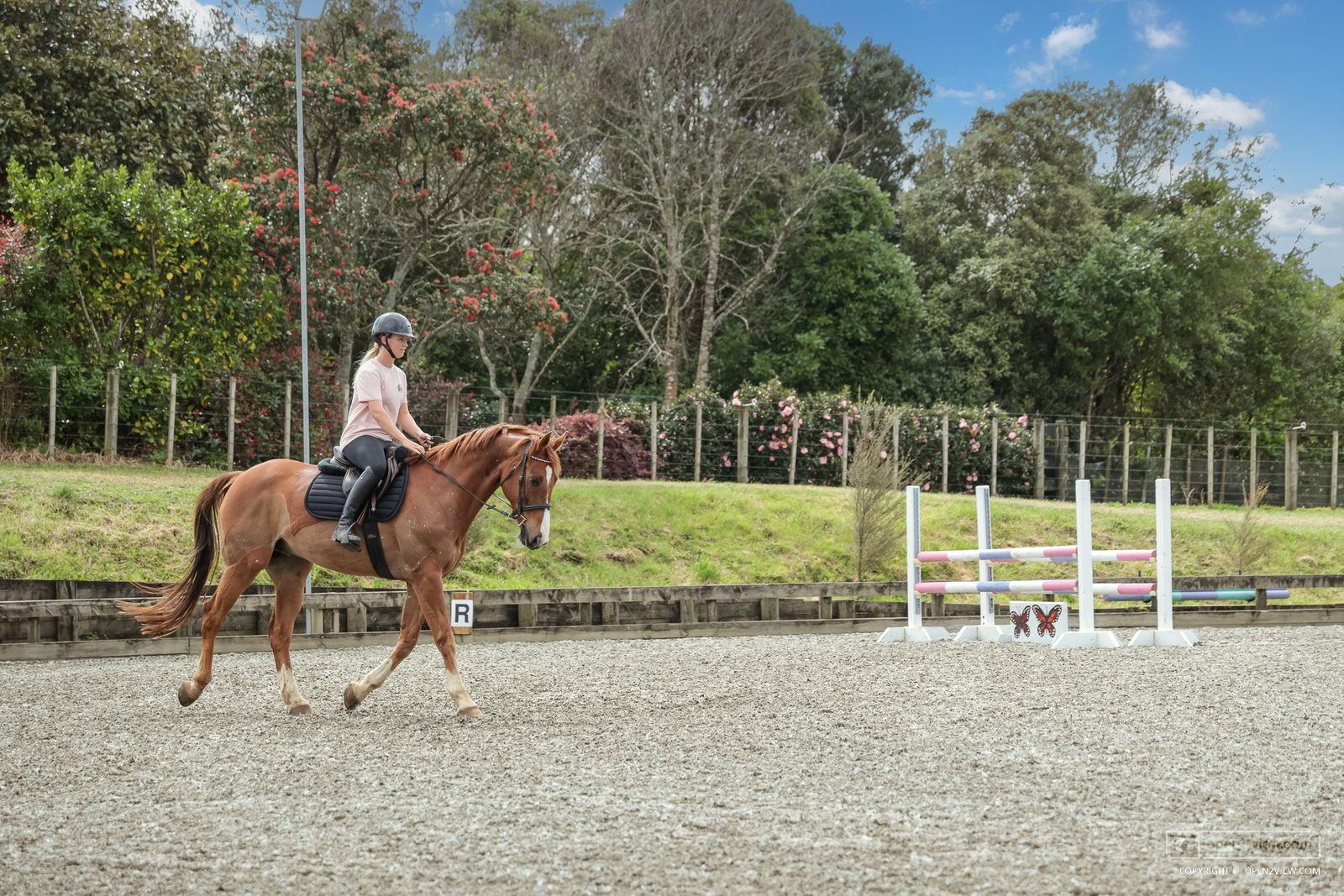 Slider image of 154 Muriwai Valley Road, Auckland