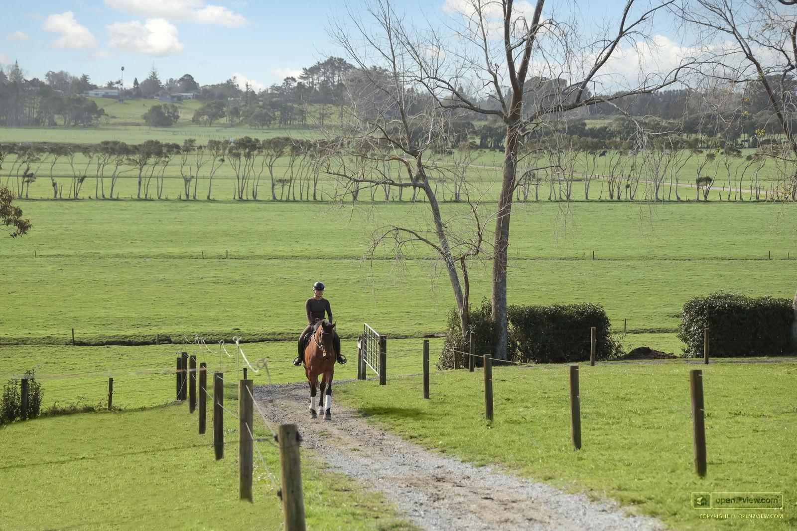 Slider image of 124 Rimmer Road, Auckland