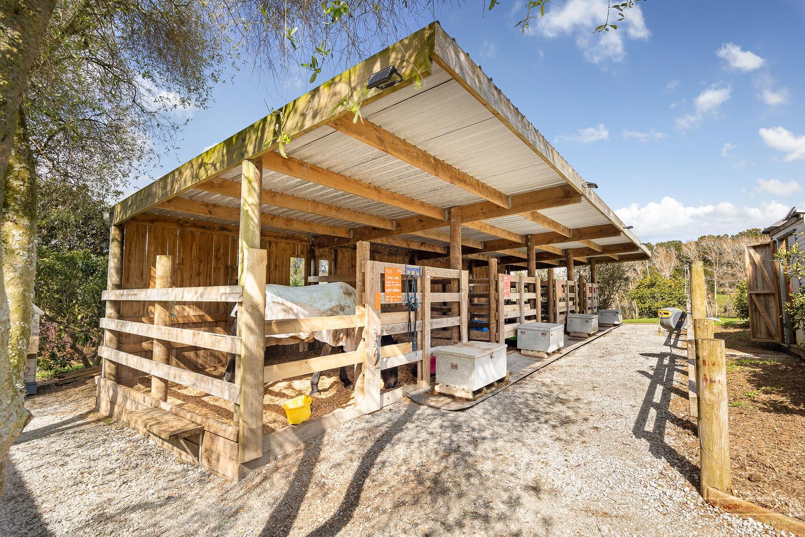 Slider image of 124 Rimmer Road, Auckland