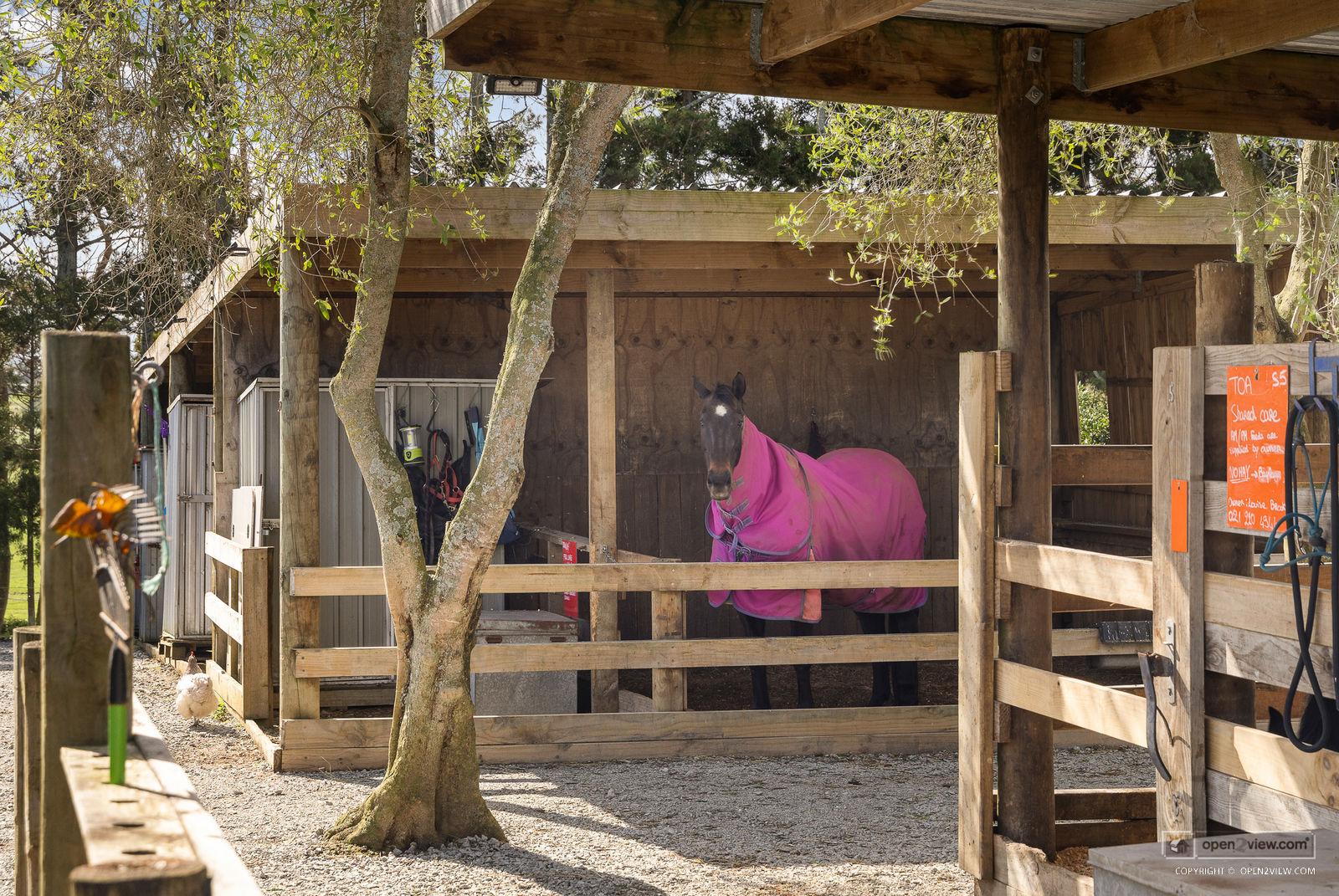 Slider image of 124 Rimmer Road, Auckland