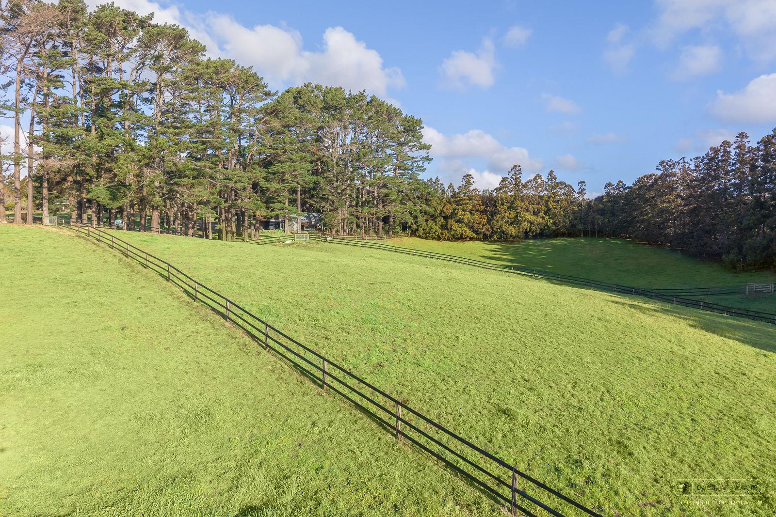 Slider image of 1115 State Highway 16, Auckland