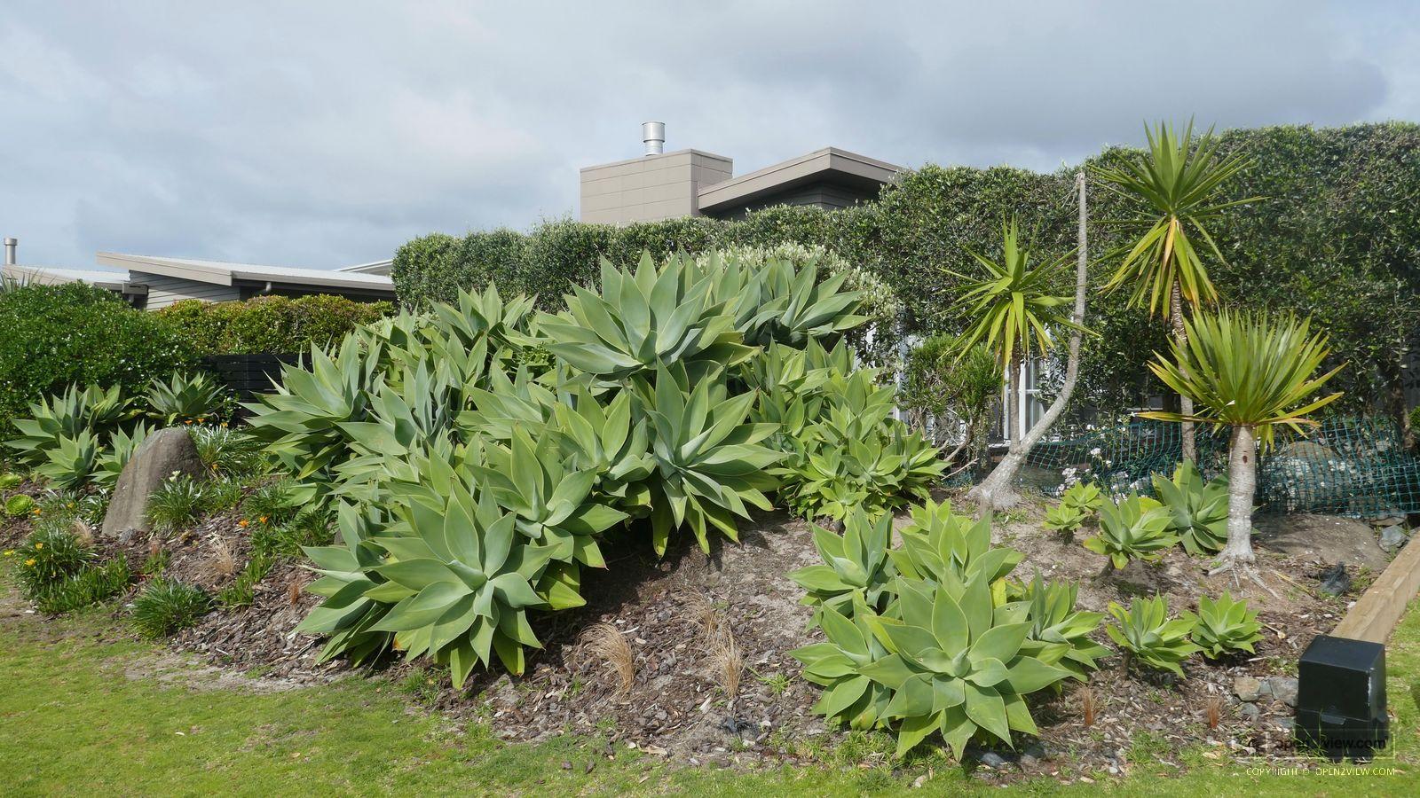 Slider image of 6 Mangatawhiri Road, Auckland