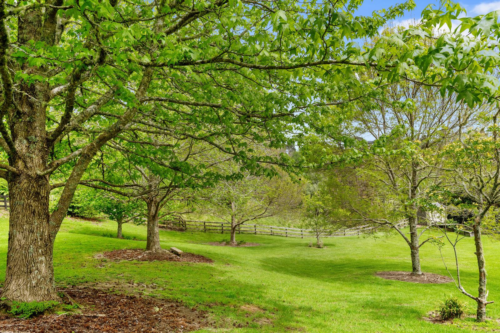 Slider image of 227 Glenmore Road, Auckland