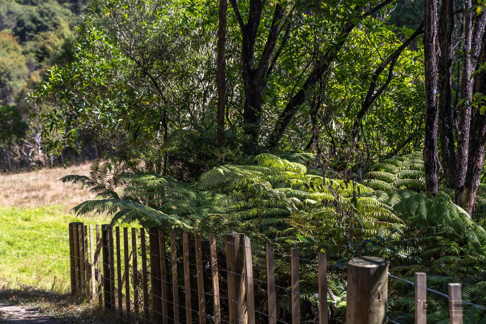 Slider image of 1223 Old North Road, Auckland