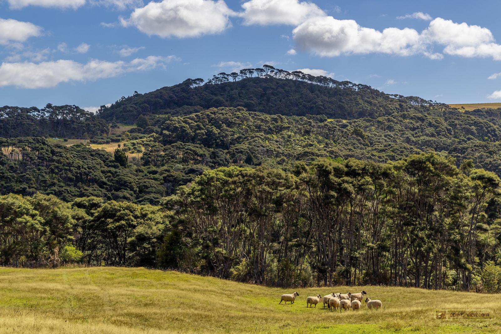 Slider image of 1223 Old North Road, Auckland