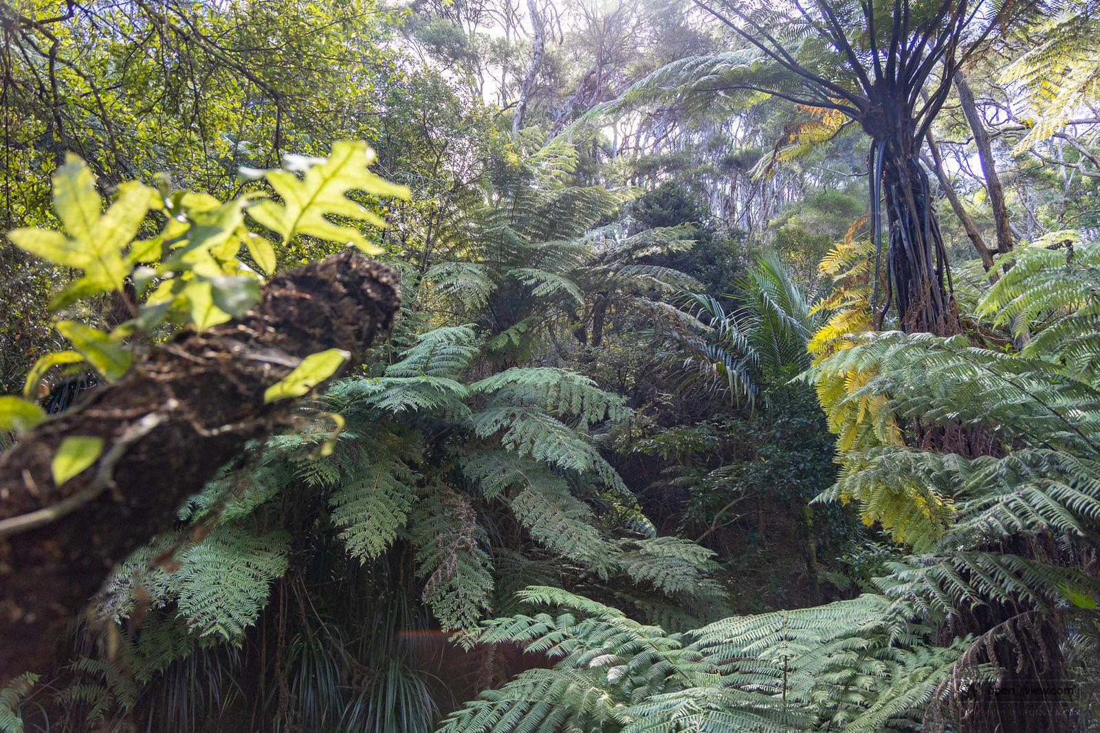 Slider image of 1223 Old North Road, Auckland