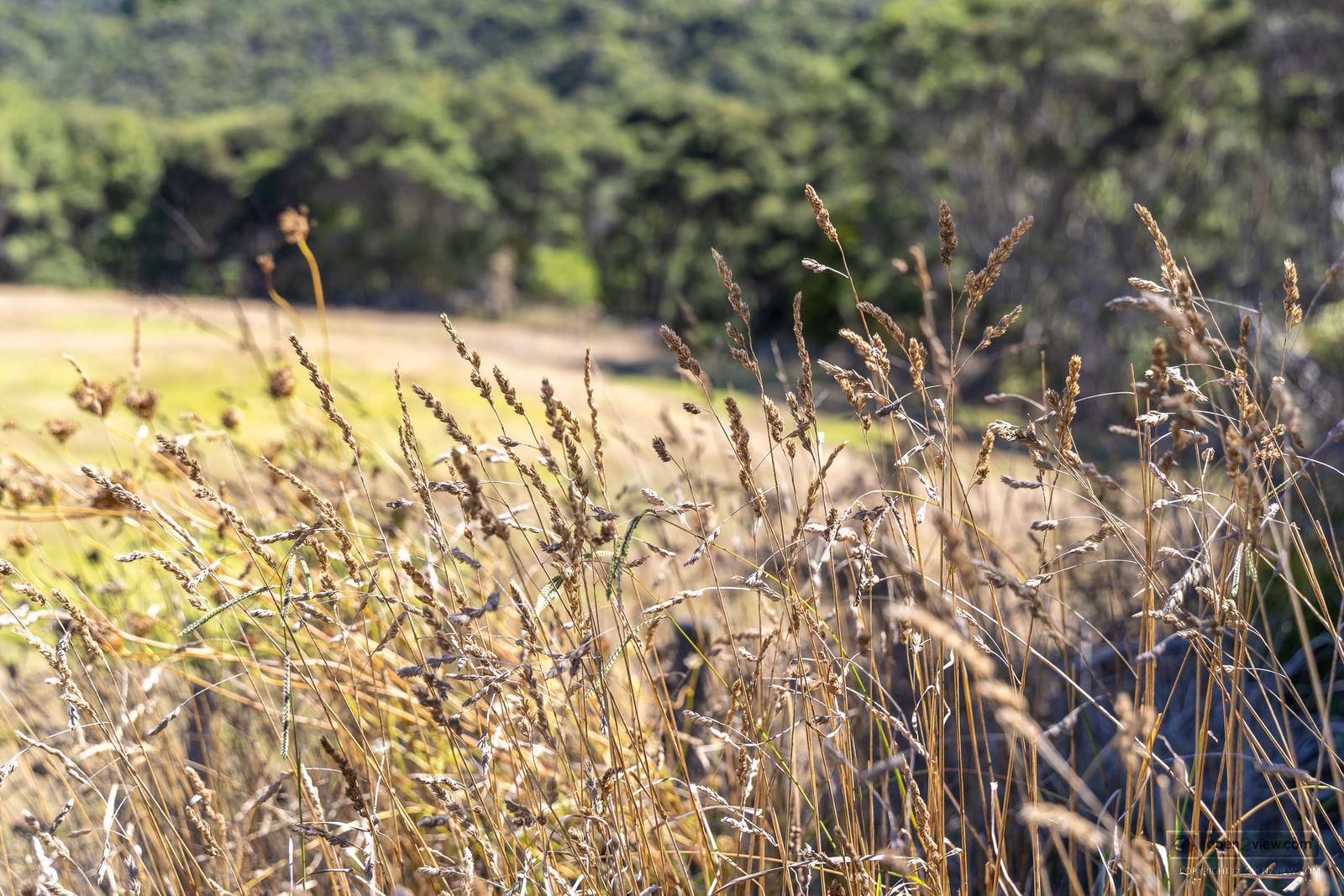 Slider image of 1223 Old North Road, Auckland