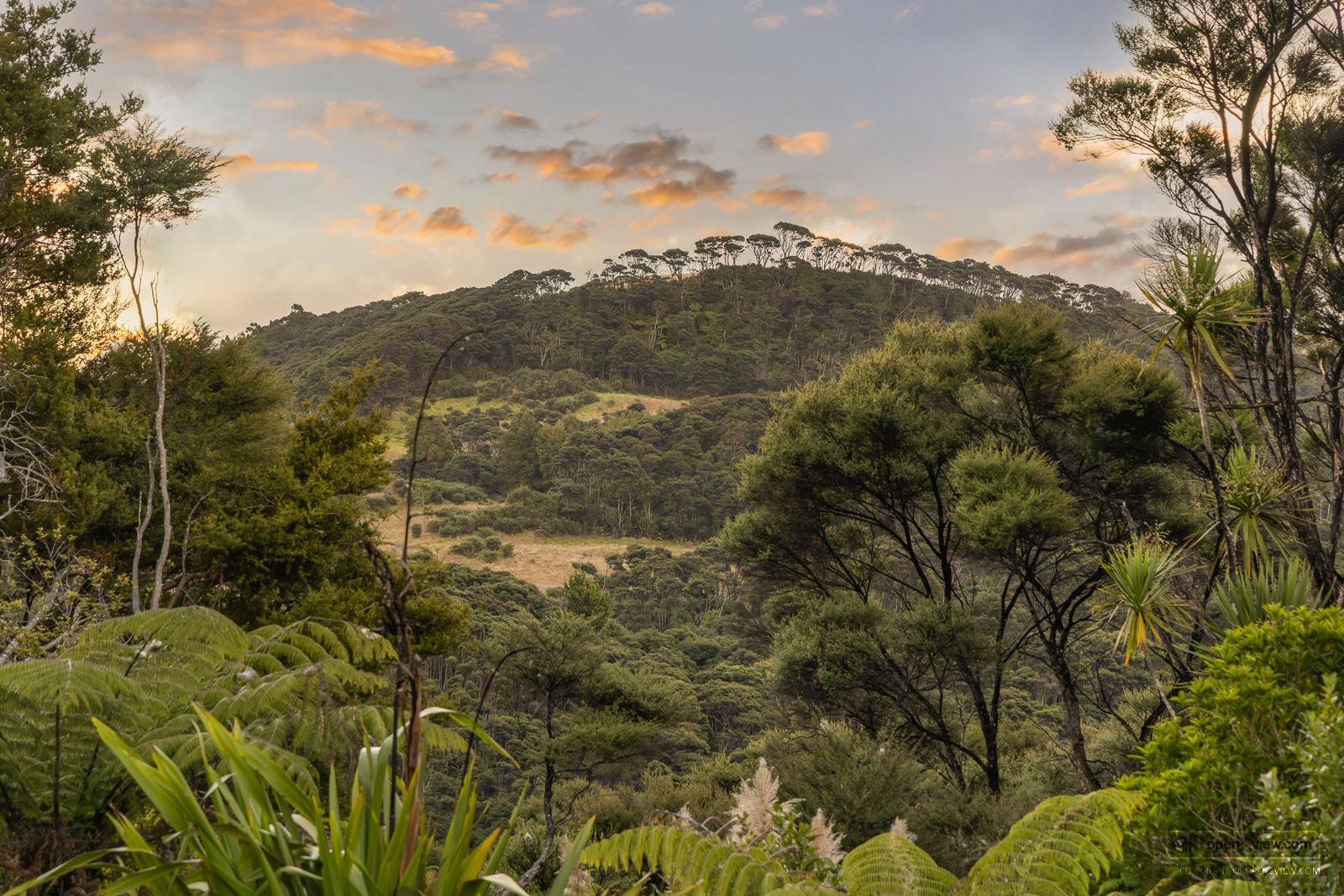Slider image of 1223 Old North Road, Auckland