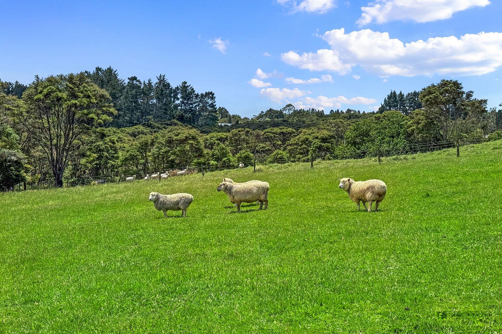 Slider image of 153 Mahoenui Valley Road, Auckland