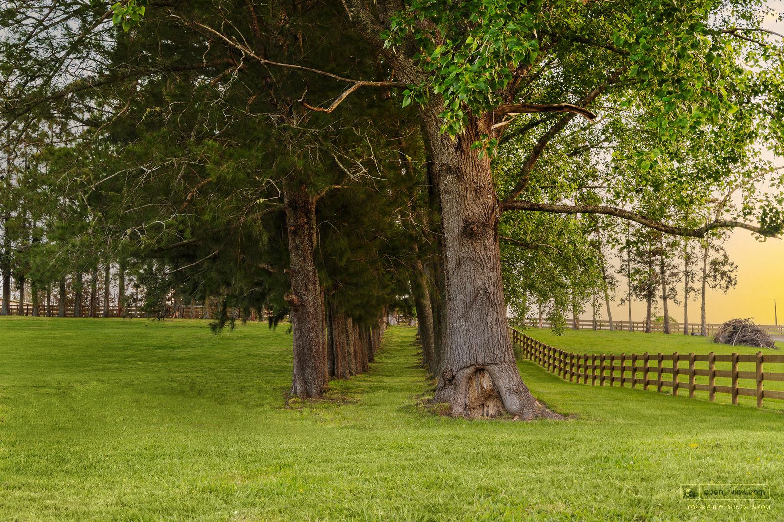 Slider image of 713 Ararimu Valley Road, Auckland