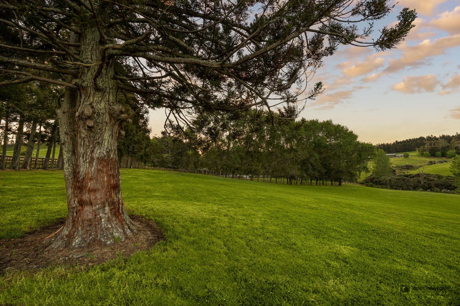 Slider image of 713 Ararimu Valley Road, Auckland
