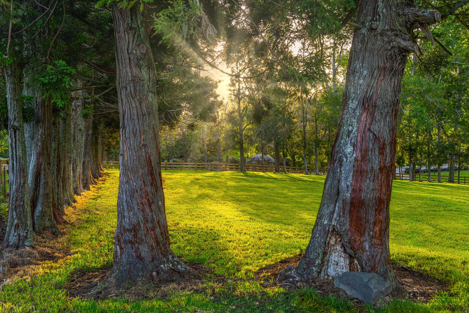 Slider image of 713 Ararimu Valley Road, Auckland