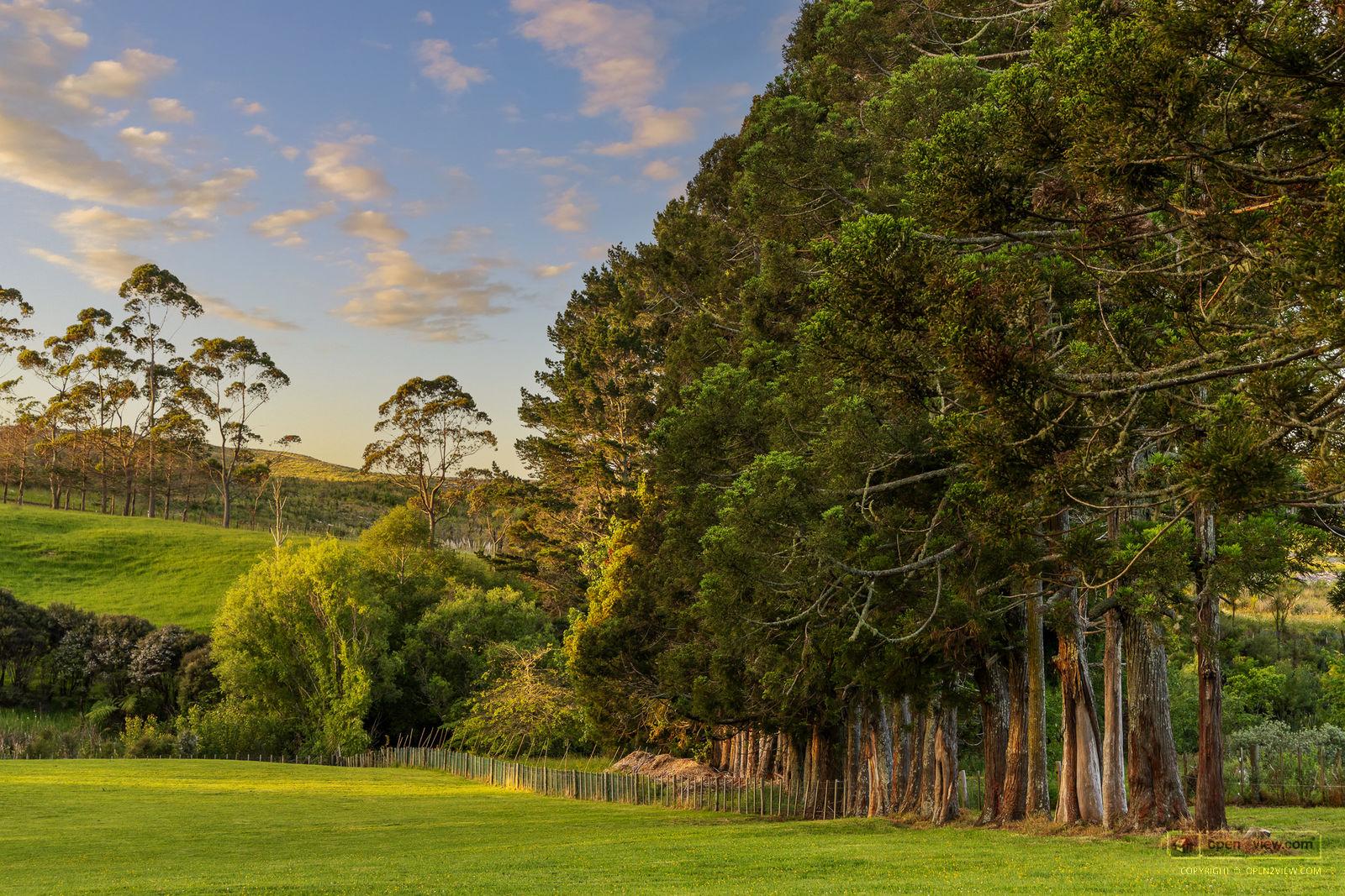 Slider image of 713 Ararimu Valley Road, Auckland