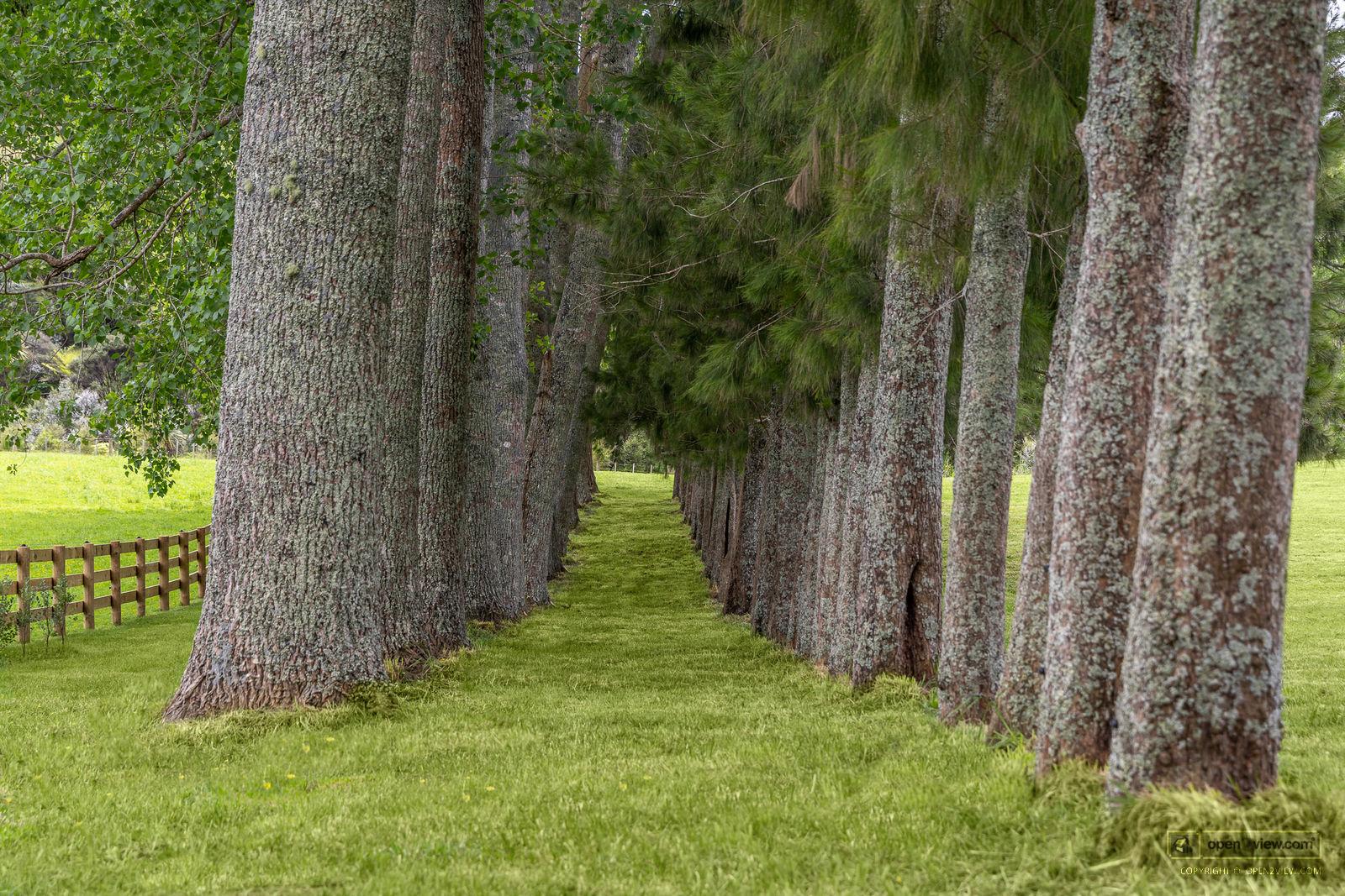 Slider image of 713 Ararimu Valley Road, Auckland