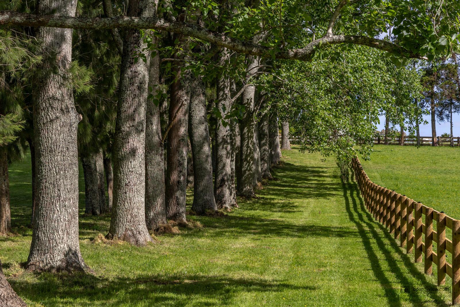 Slider image of 713 Ararimu Valley Road, Auckland