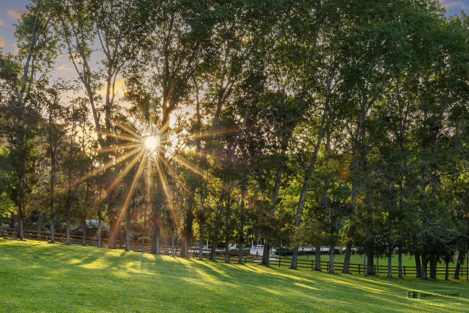 Slider image of 713 Ararimu Valley Road, Auckland