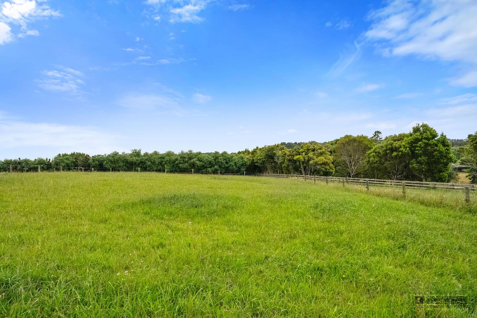 Slider image of 51 Glenmore Road, Auckland