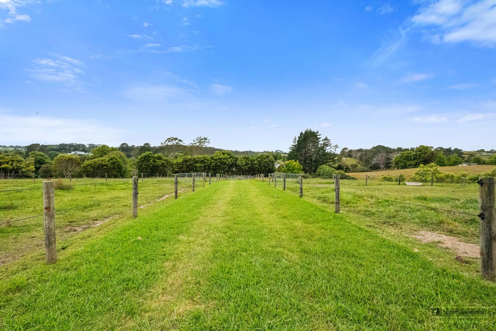 Slider image of 51 Glenmore Road, Auckland