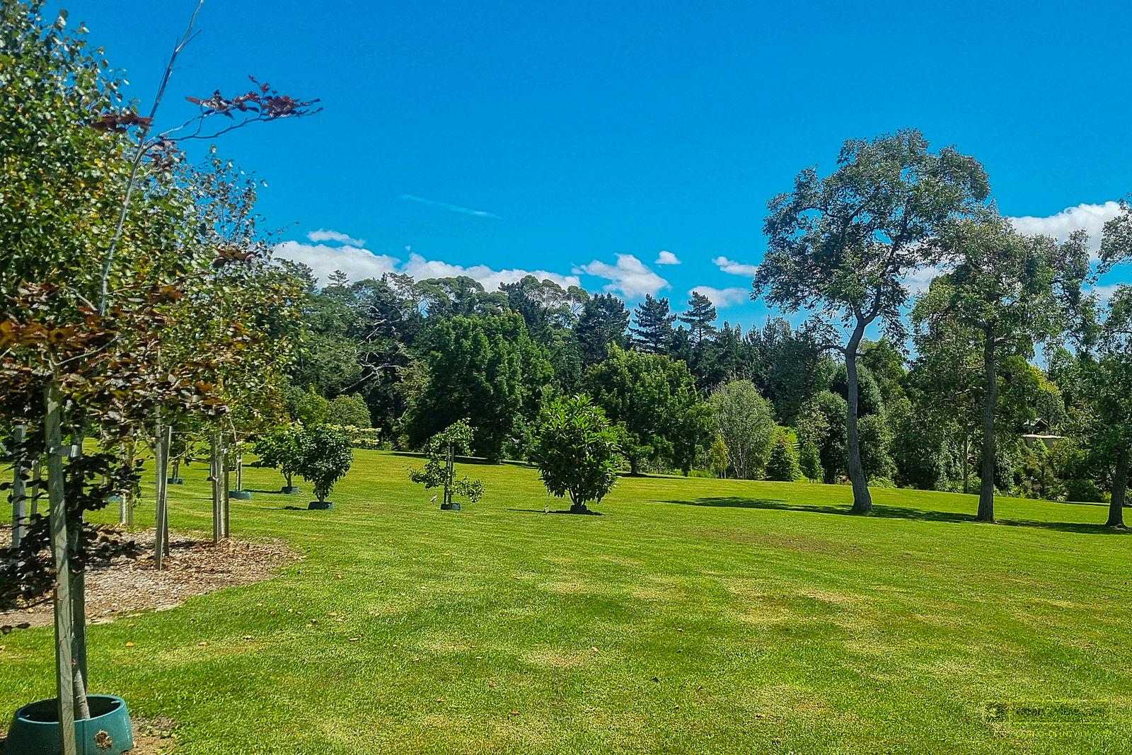 Slider image of 44 Hardens Lane, Auckland