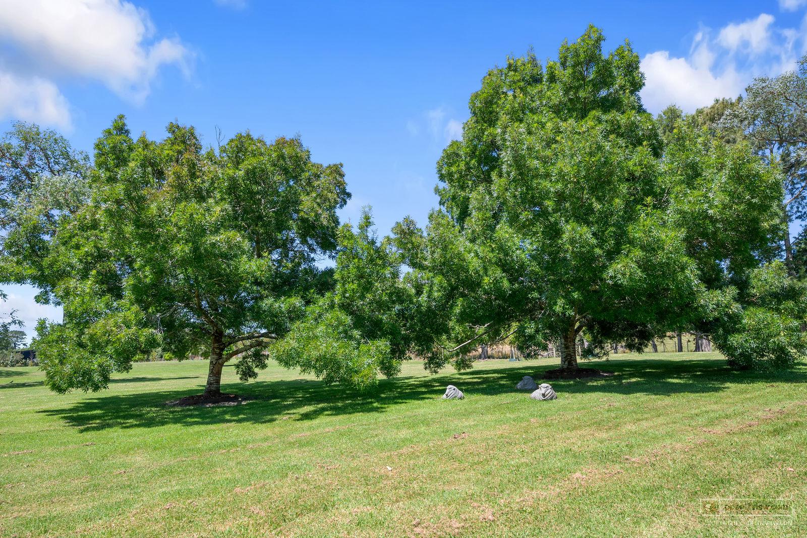 Slider image of 44 Hardens Lane, Auckland