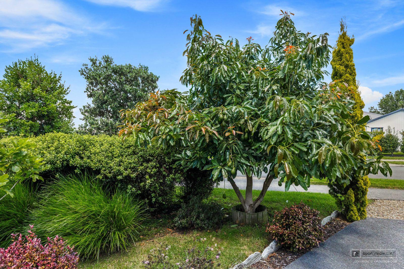 Slider image of 45 Pohutukawa Parade, Auckland