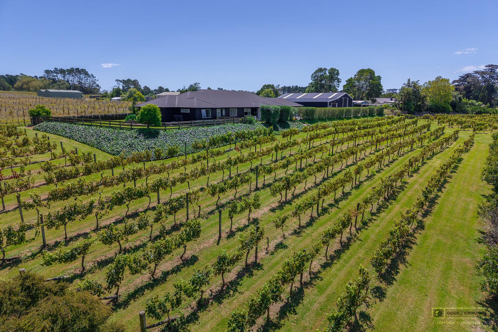 Slider image of 583 State Highway 16, Auckland