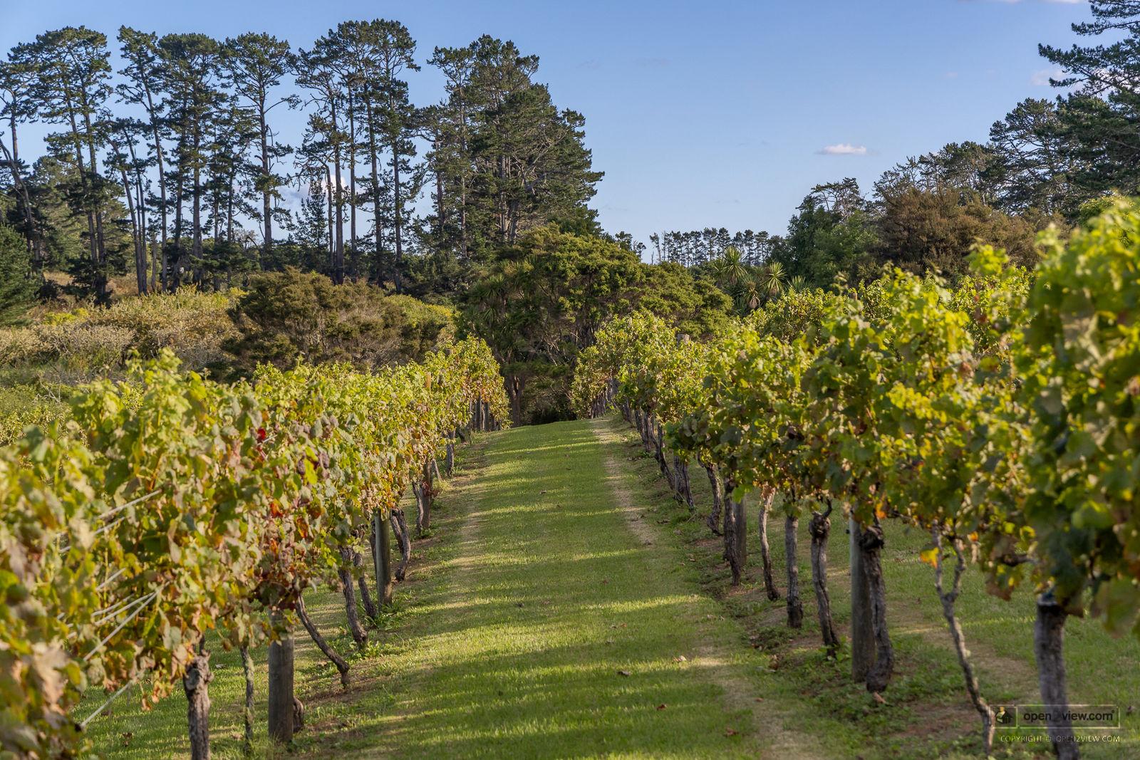 Slider image of 583 State Highway 16, Auckland