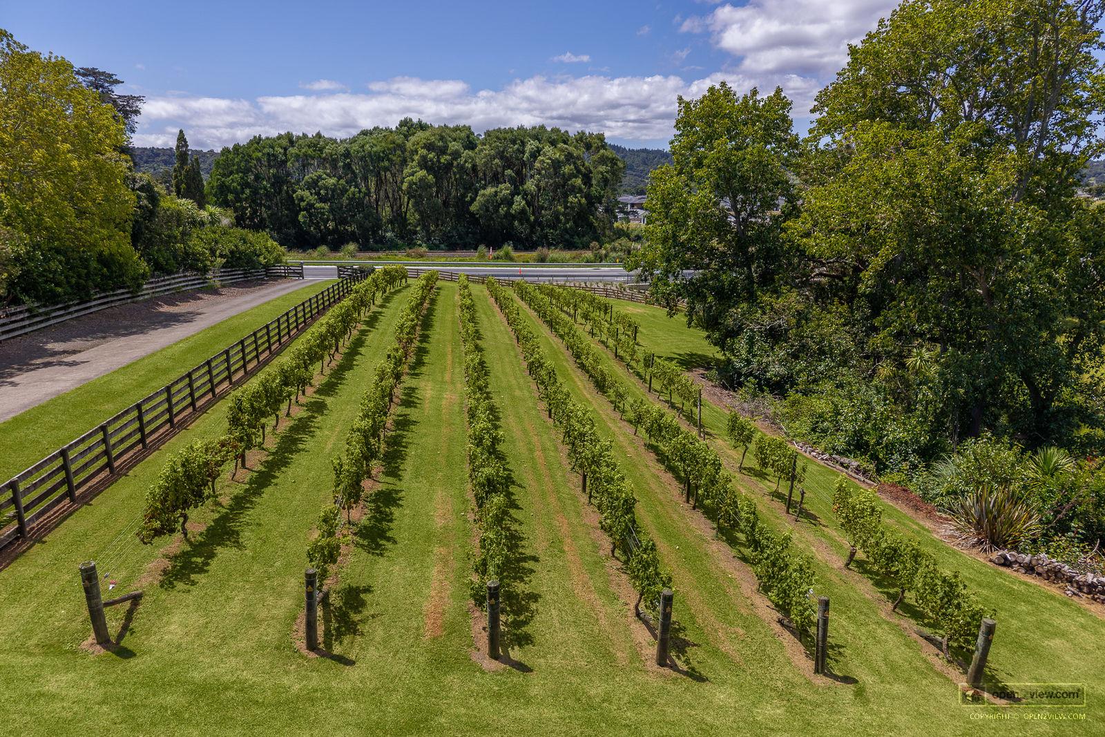Slider image of 583 State Highway 16, Auckland