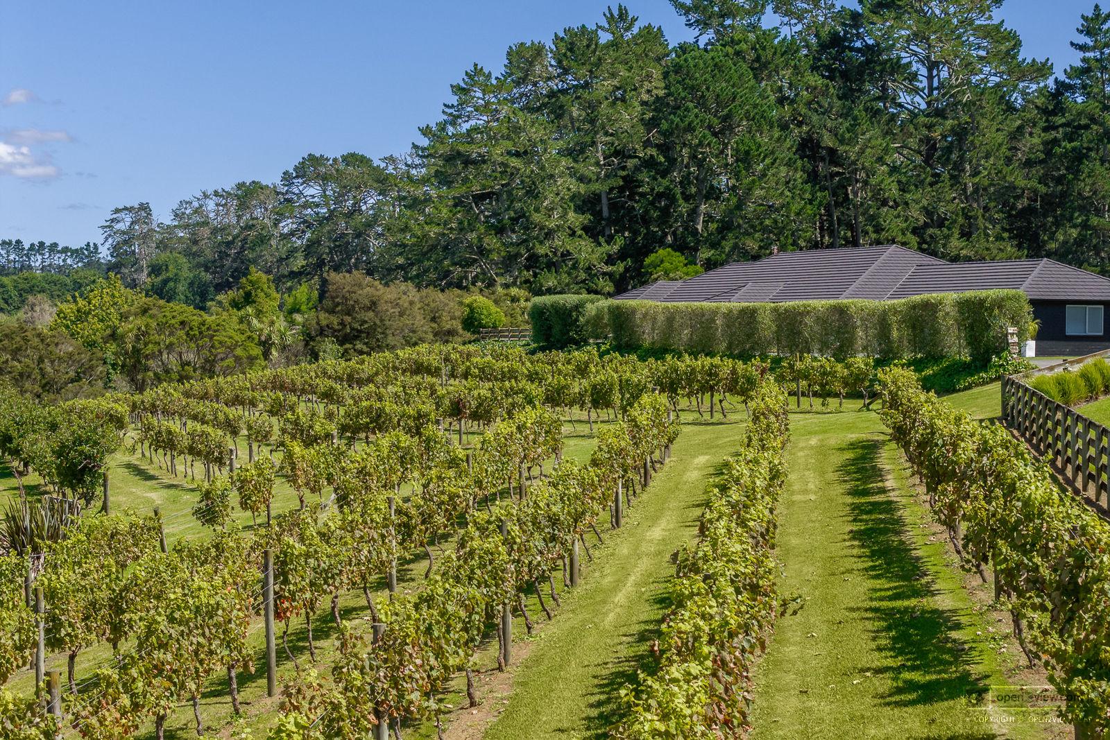 Slider image of 583 State Highway 16, Auckland