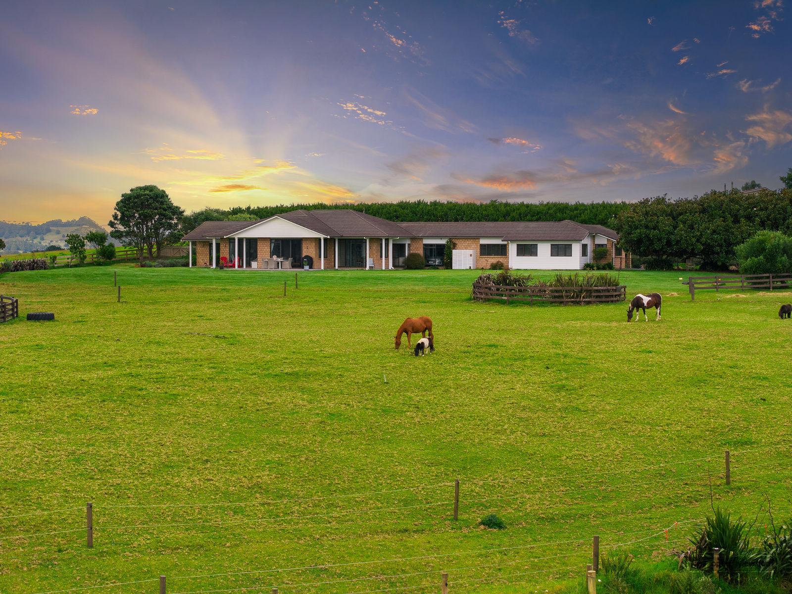 Slider image of 135B Hutchinson Road, Auckland