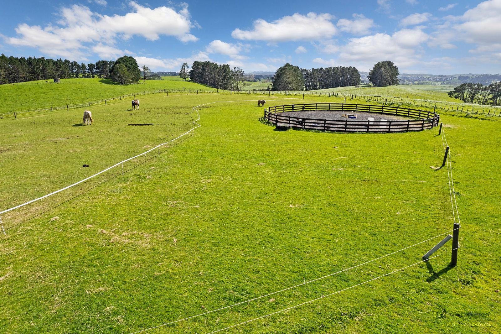 Slider image of 135B Hutchinson Road, Auckland