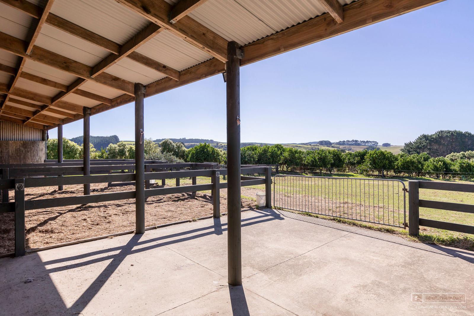 Slider image of 135B Hutchinson Road, Auckland