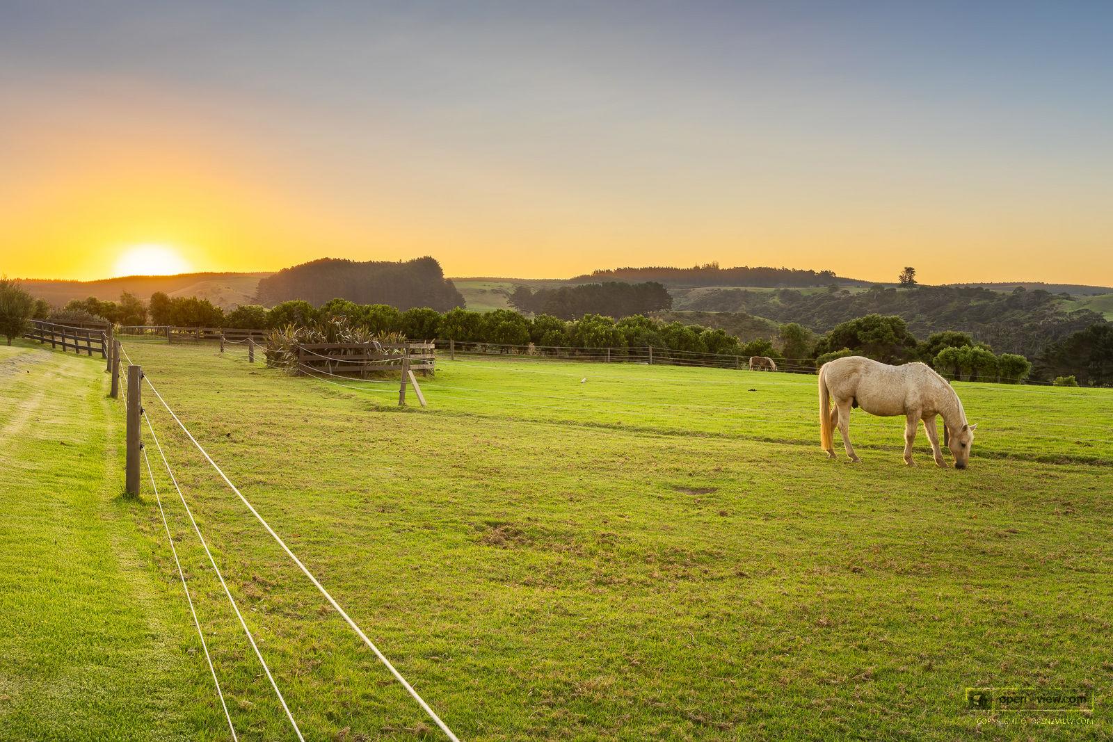 Slider image of 135B Hutchinson Road, Auckland