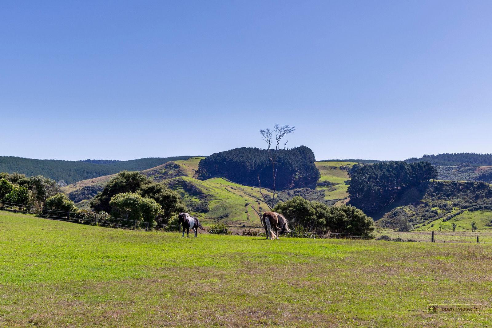 Slider image of 135B Hutchinson Road, Auckland